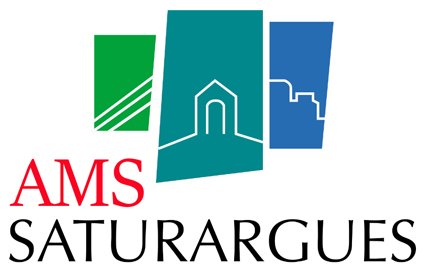 Logo AMS